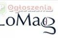 Profesjonalne Oprogramowanie Magazynowe &#8211; LoMag dla Twojej Firmy